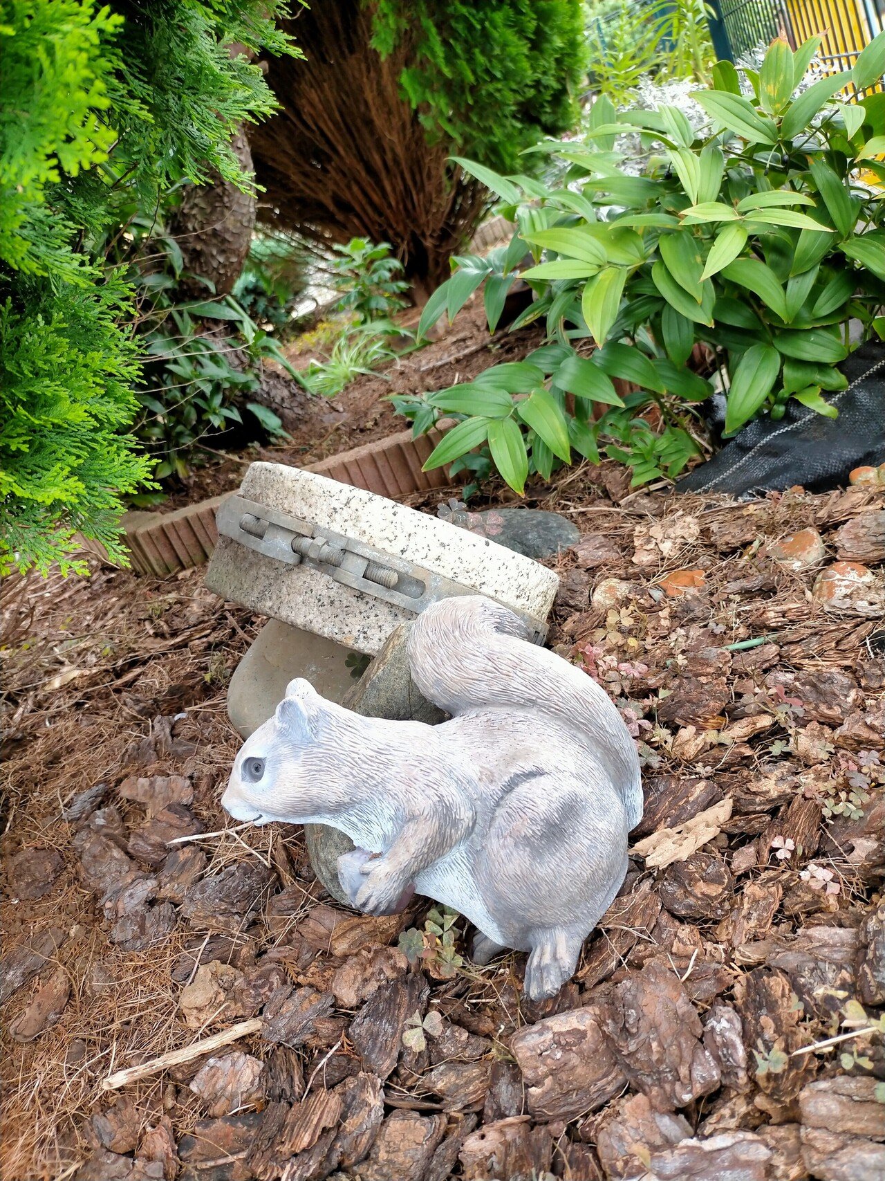 ミーコ散歩 W ミーコの友だちと小さい秋を見つける の巻 ミーコ 生き方研究家 Note ミーコ散歩 W ミーコの友だちと小さい秋を見つける の巻 ミーコ 生き方研究家 Note