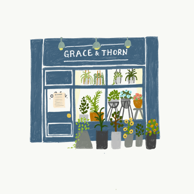 植物のお店
