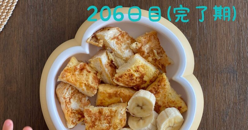 離乳食ダイアリー（206日目） 完了期