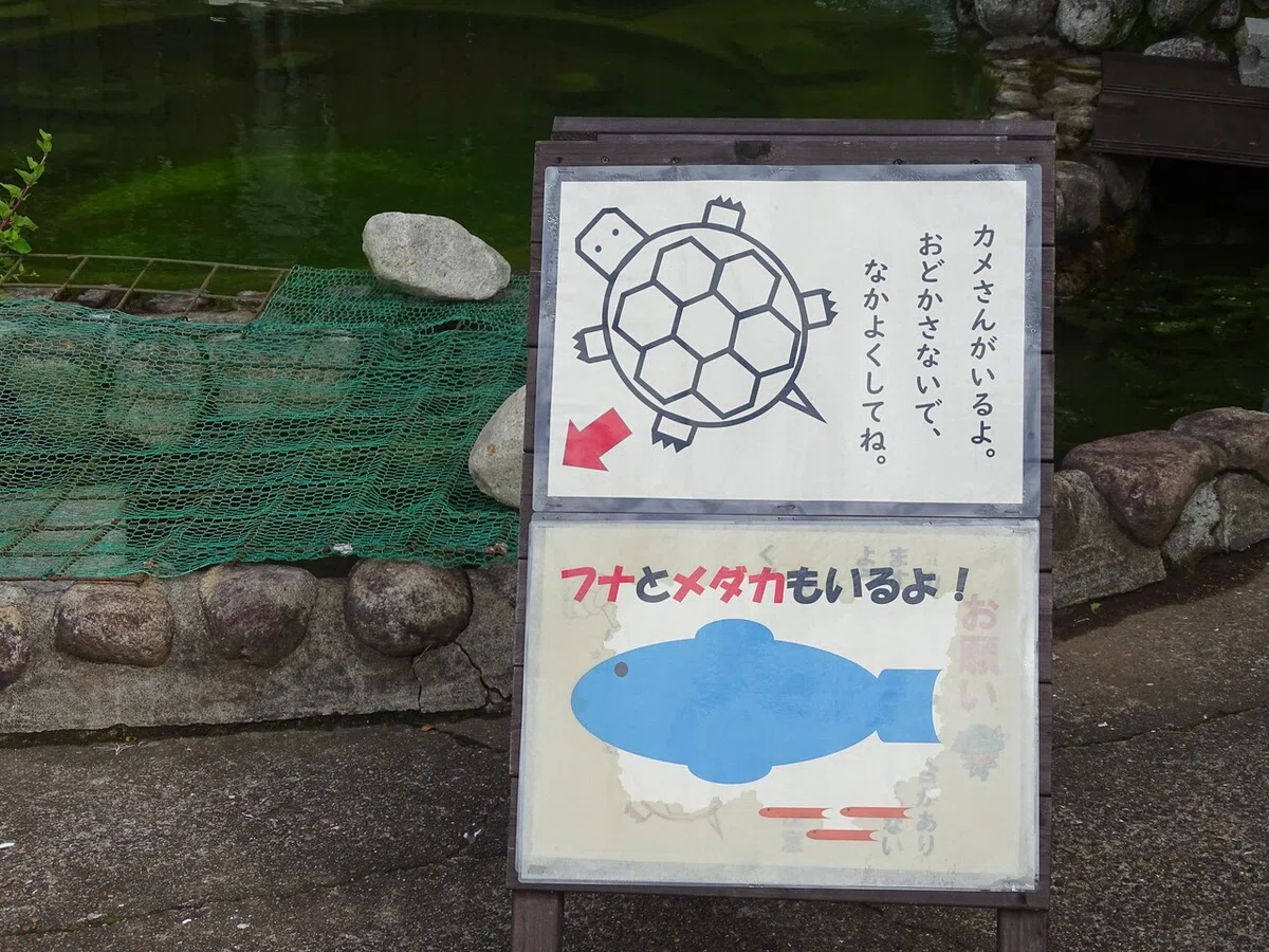画像7