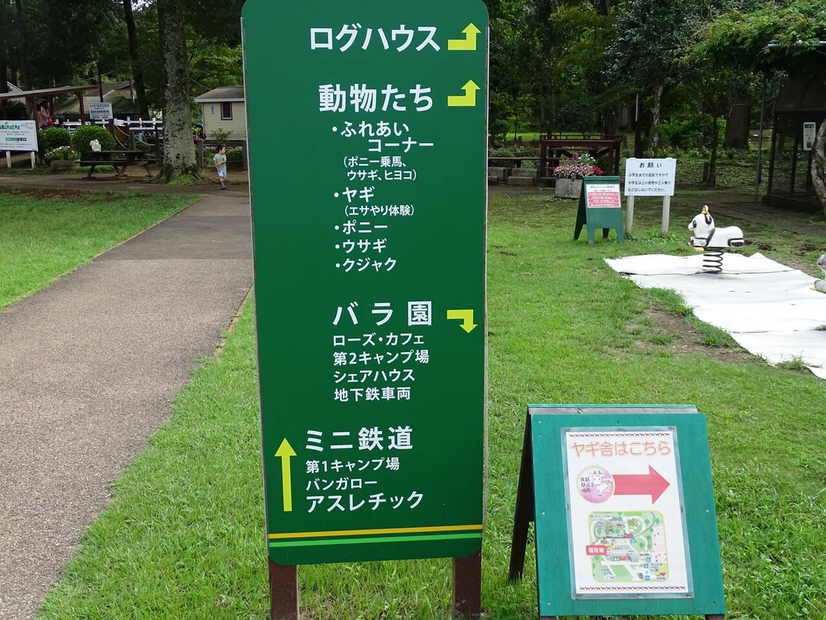 画像17