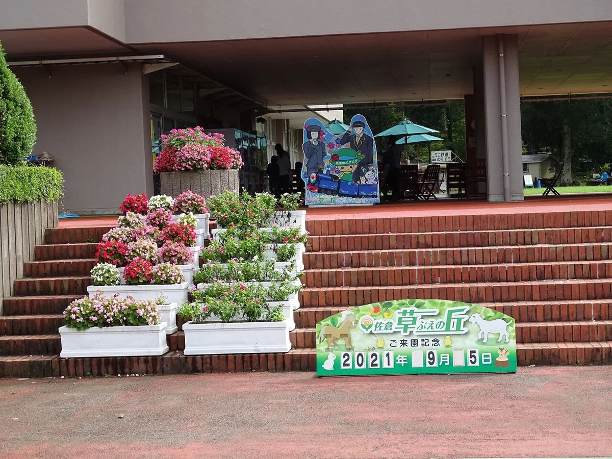 画像5