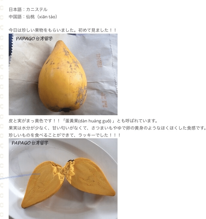 希少　台湾果樹　ピンポン 希少 台湾果樹 ピンポン