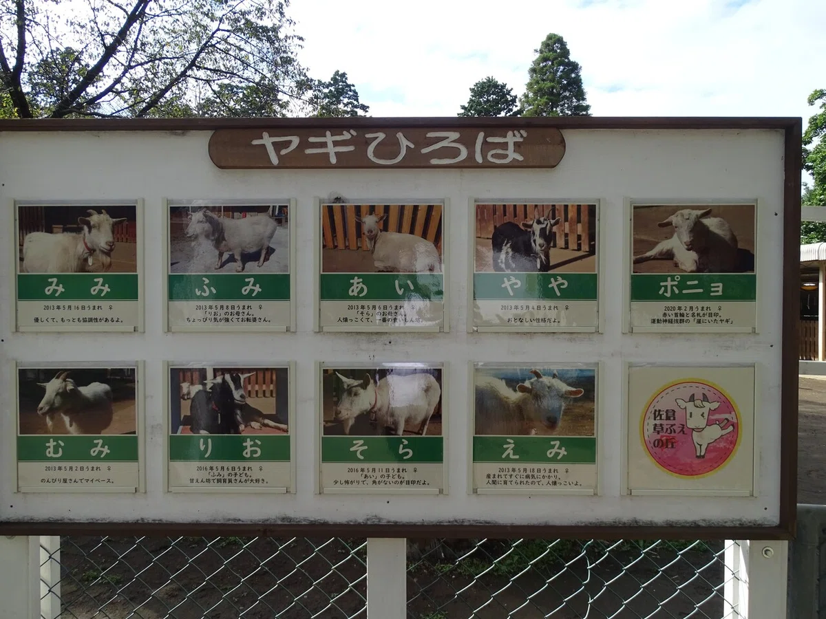 画像17