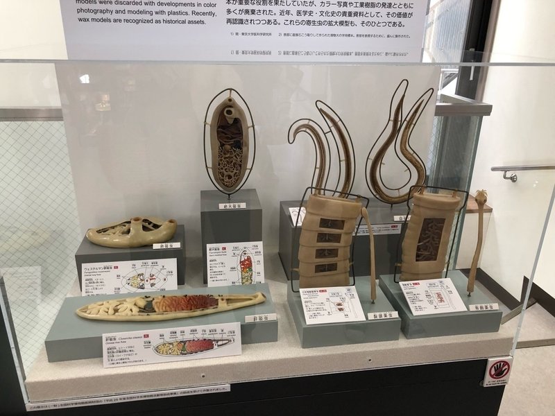 目黒寄生虫館 観光やデートに Nicheっち にっちっち Note 目黒寄生虫館 観光やデートに Nicheっち にっちっち Note