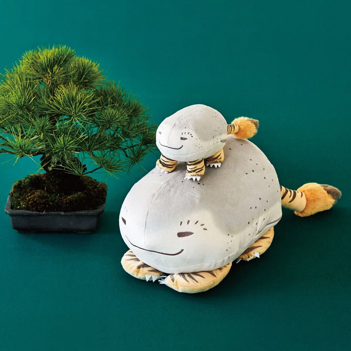 画像14