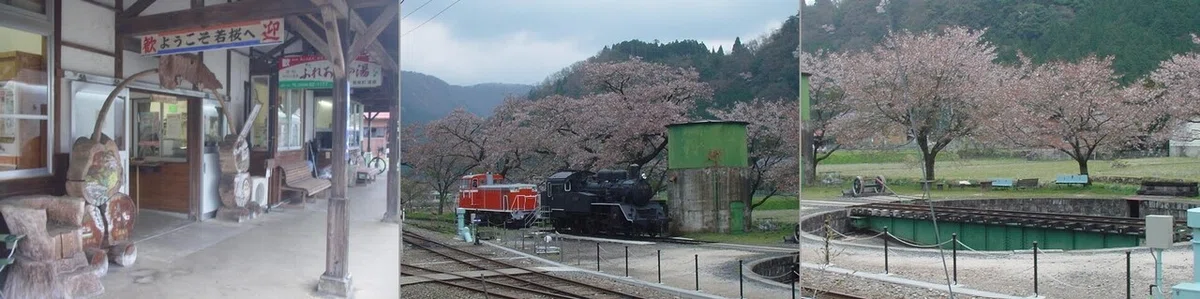 若桜②