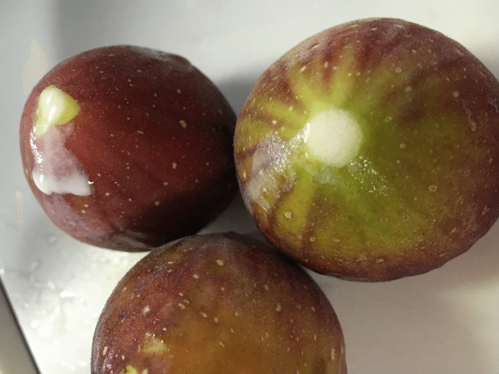 アダムとイブはりんごを食べていない？失楽園物語と知恵の実の