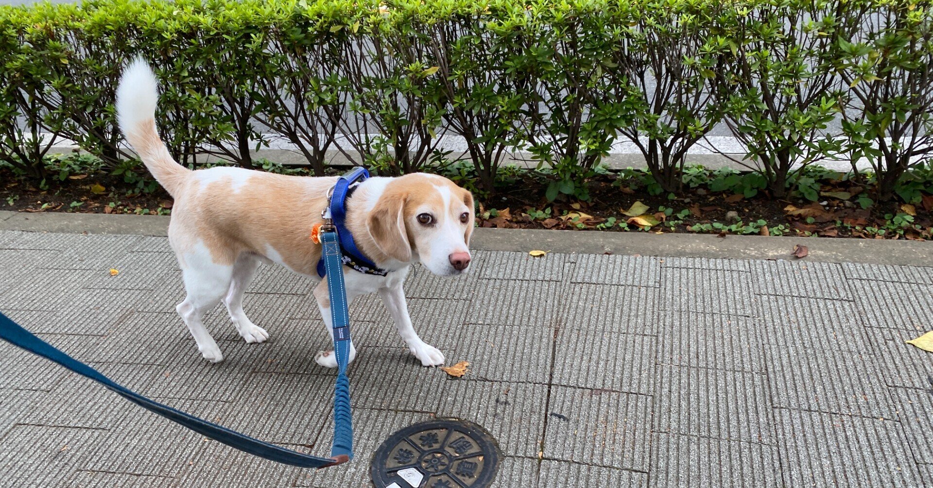 ふみけん の名前について 古賀史健 Note ふみけん の名前について 古賀史健 Note
