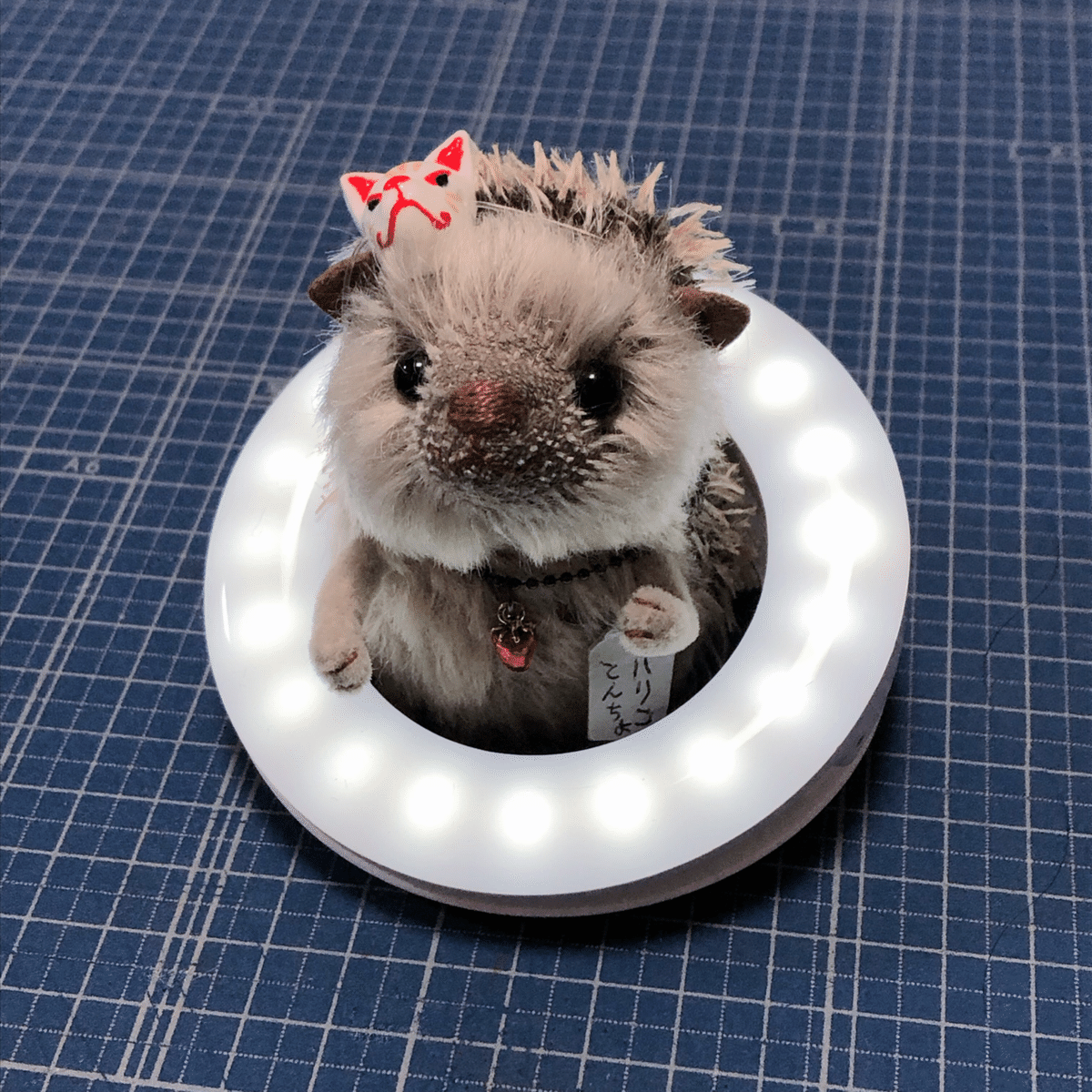リングライトの威力｜くまこʕ•ᴥ•ʔ