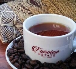 合体　Fairview Coffee Estate - coffee in cup