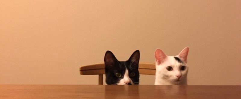 猫は飼い主に似ていた 長月コージ 長月books Note 猫は飼い主に似ていた 長月コージ 長月books Note