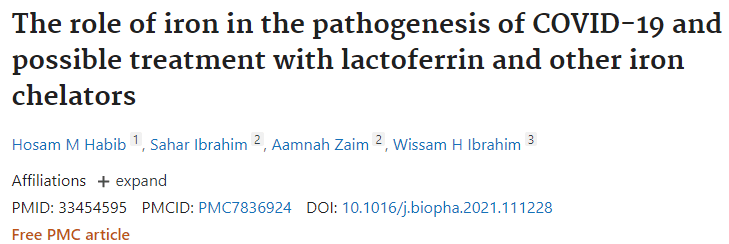 スクリーンショット (2333)