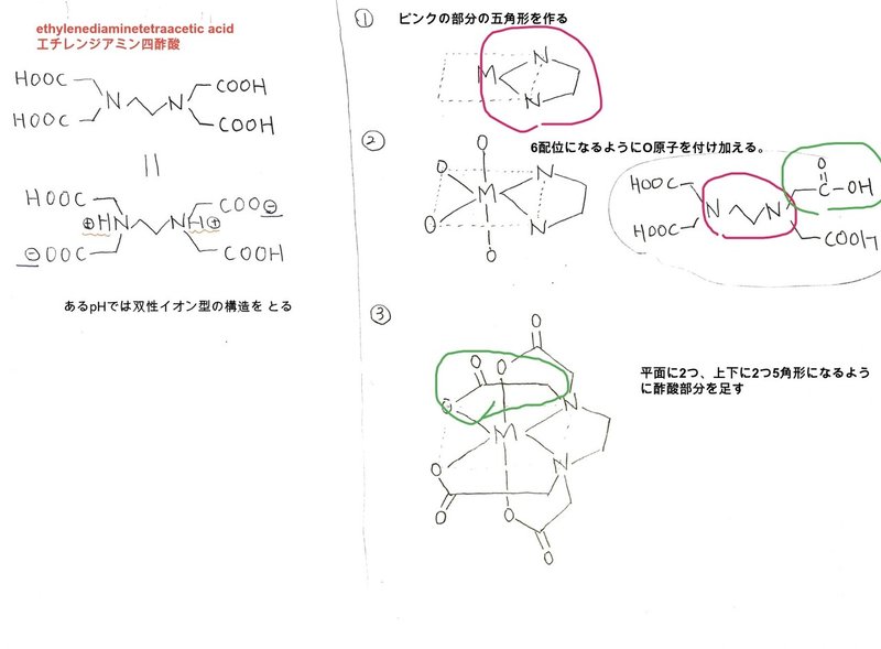 Edtaってなに 覚え方のコツなど Yotto Note