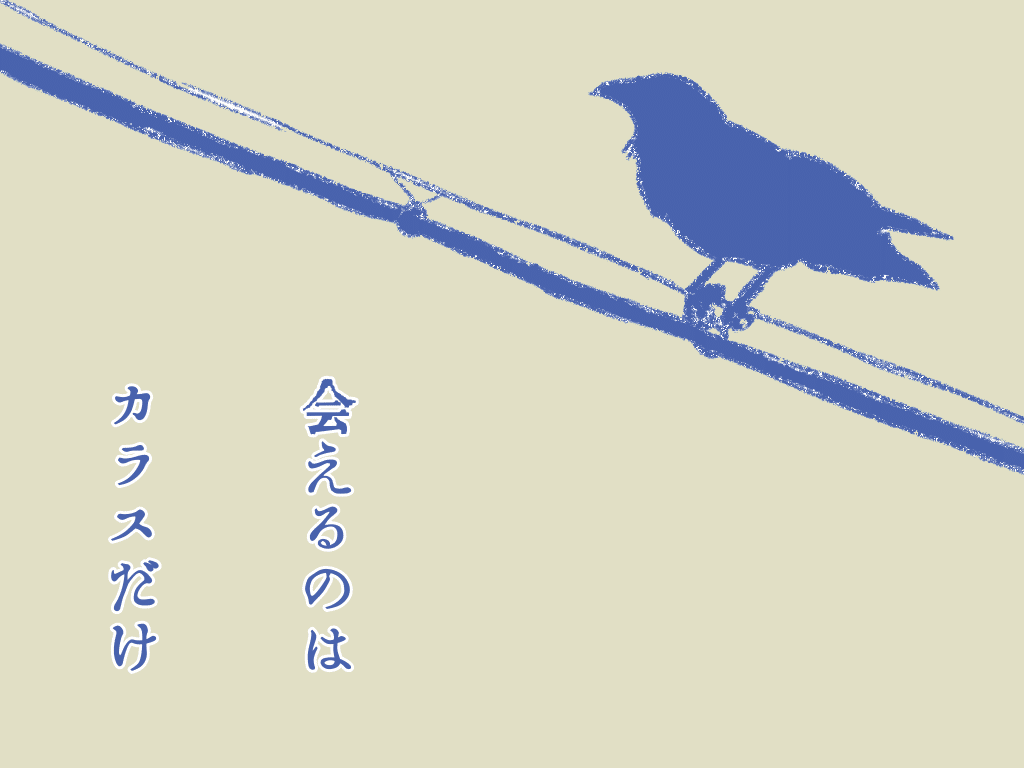 画像14