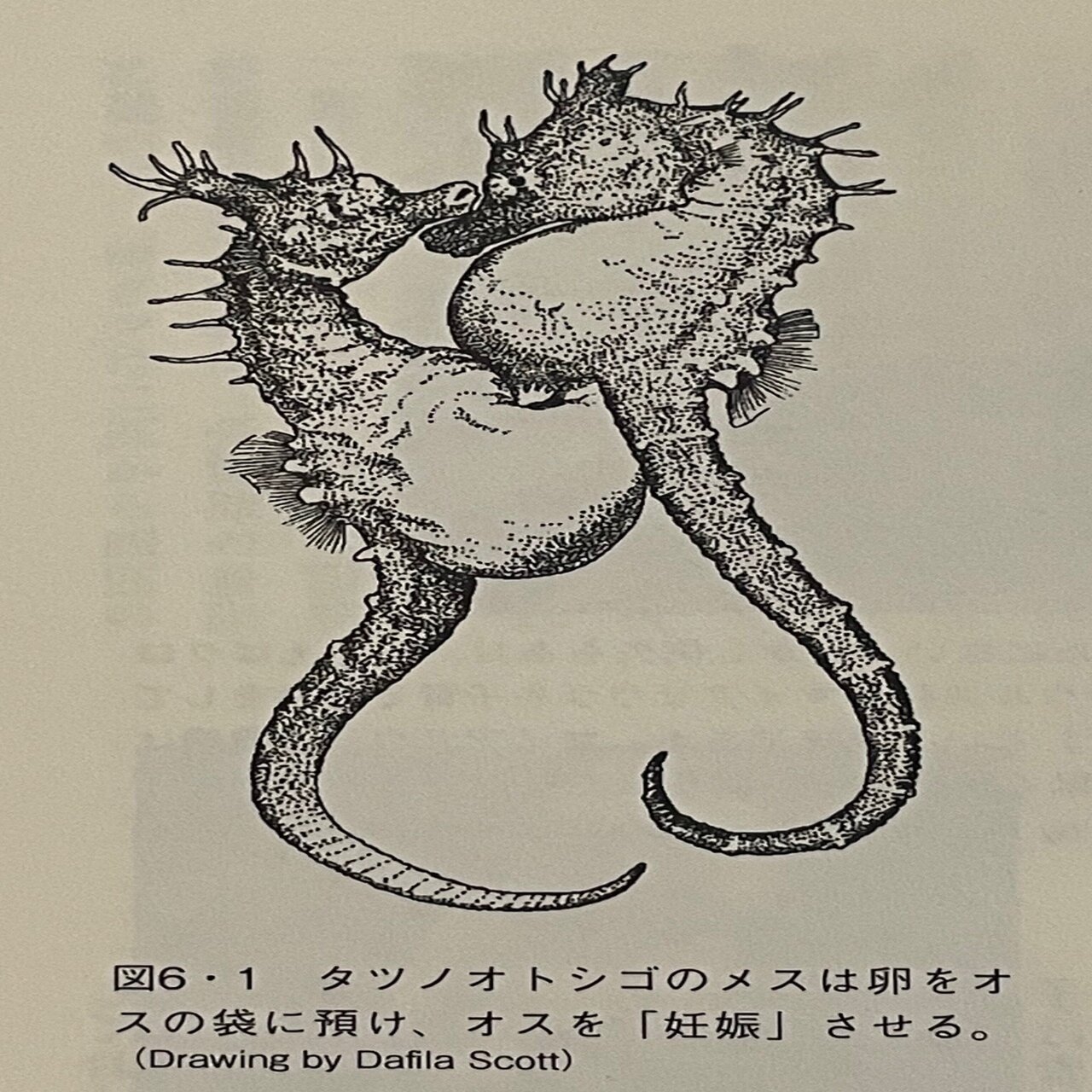 リプレイ・マグナ/02 ほんの先触れの物語, image size:1234x2000