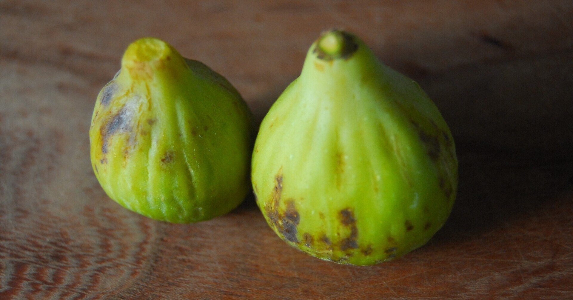 Fig Varieties【Sucrette】シュクレ｜世界のいちじく育てよう 