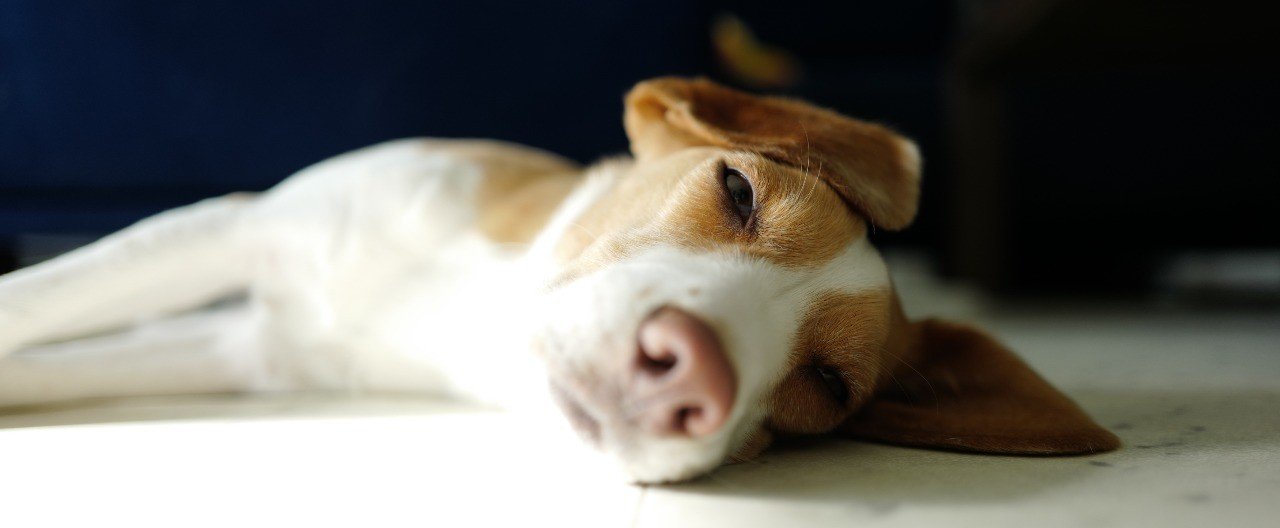 IMG_1384のコピー