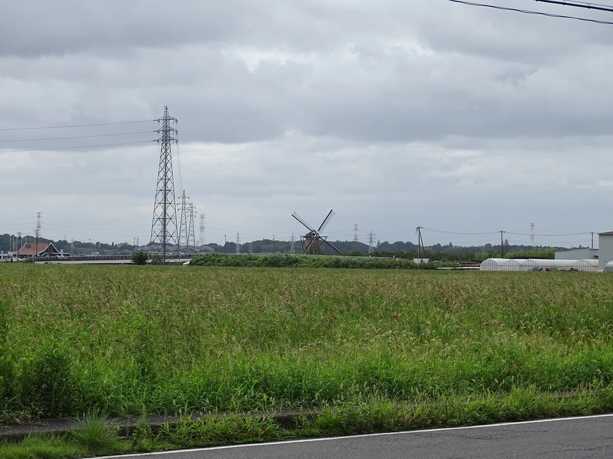 画像29