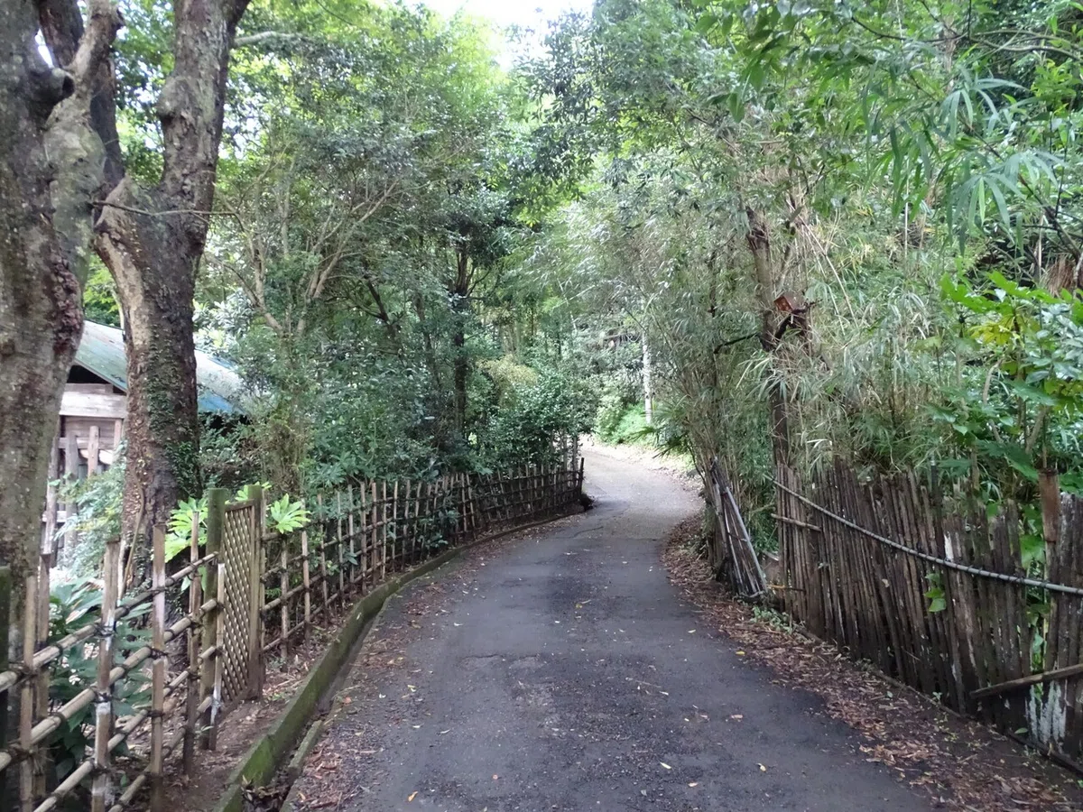 画像34