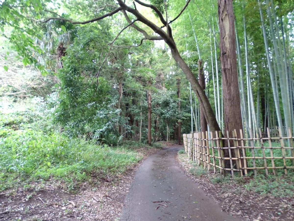 画像36