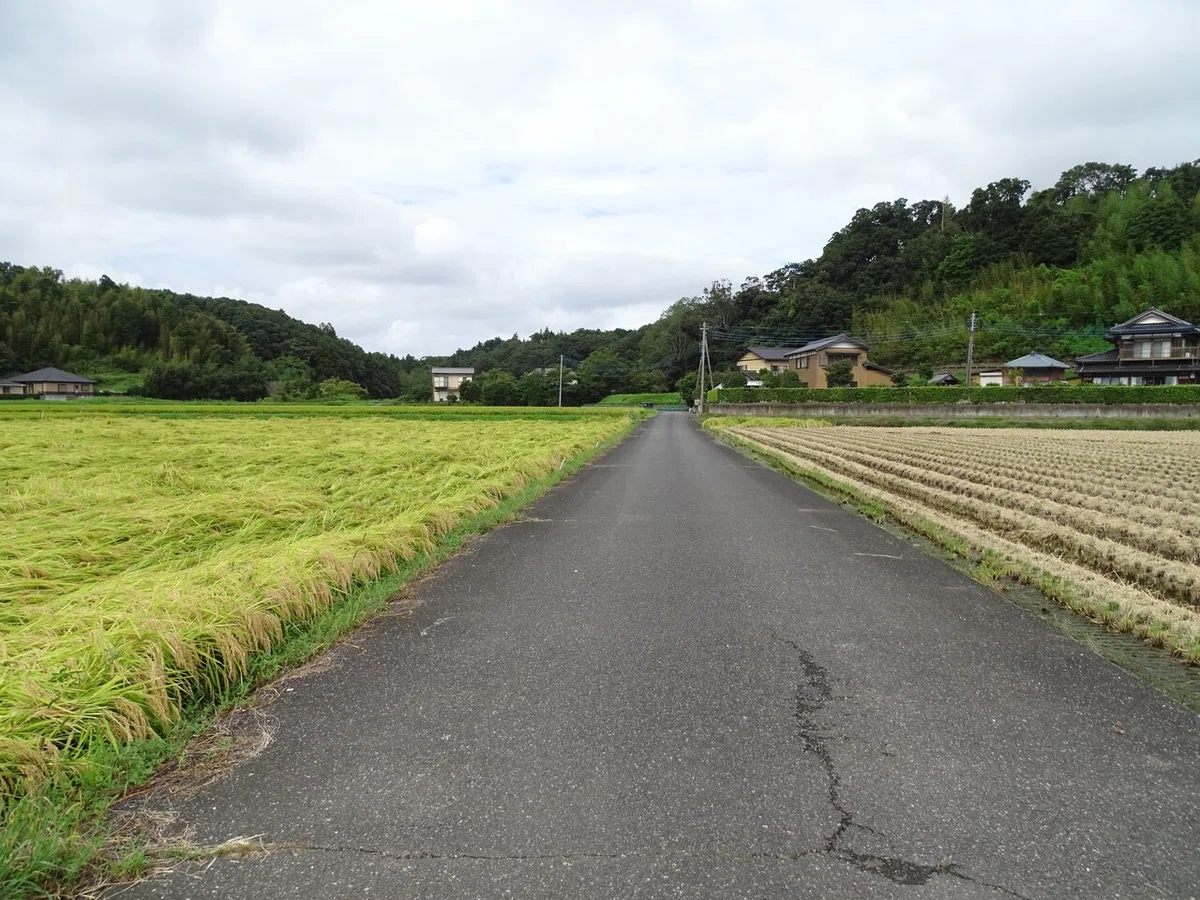 画像31