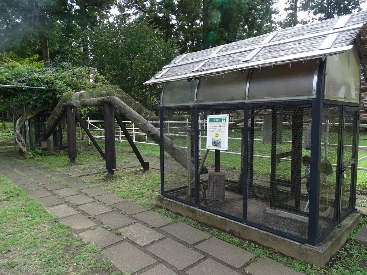画像40