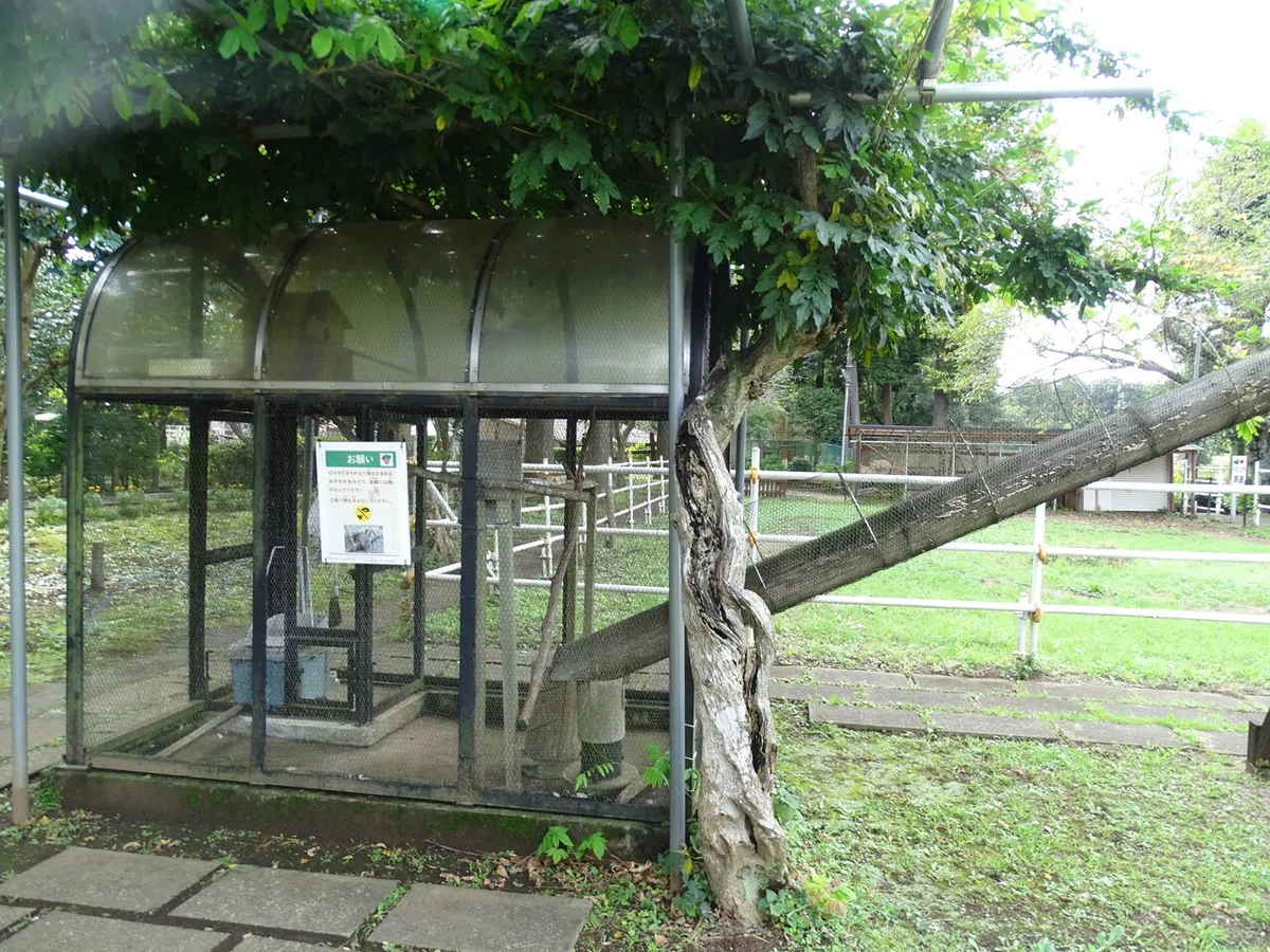 画像38
