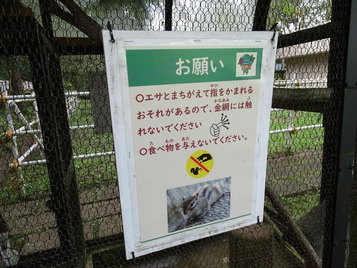 画像43