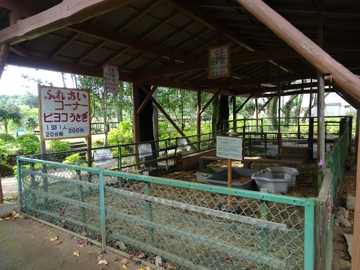 画像45