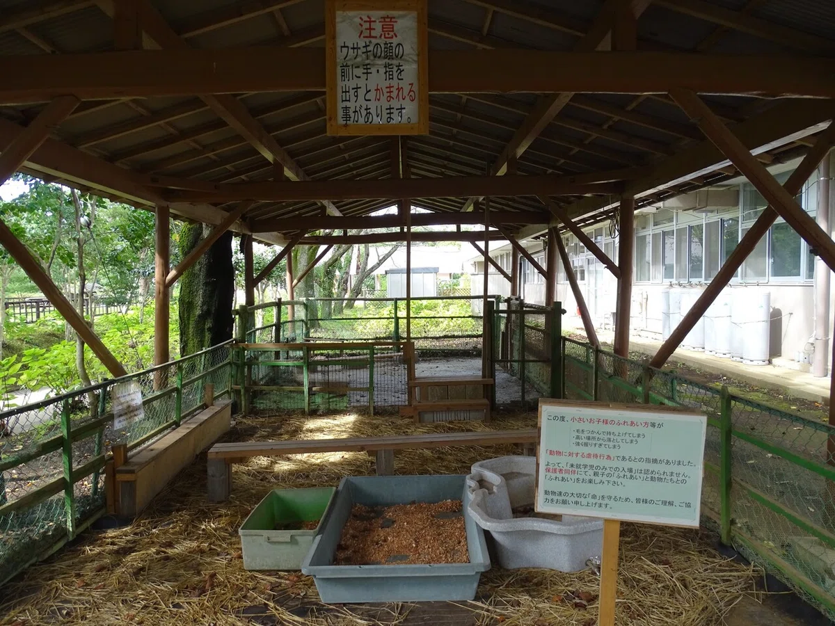 画像44