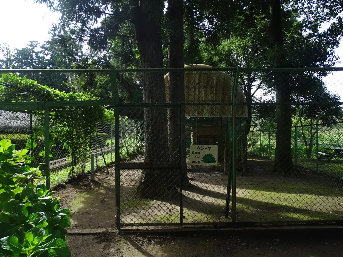 画像46