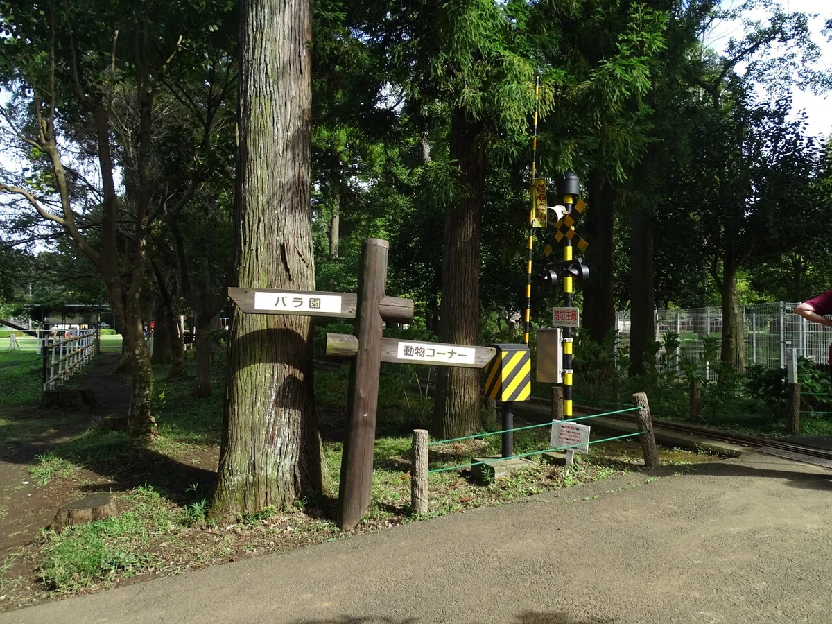 画像53