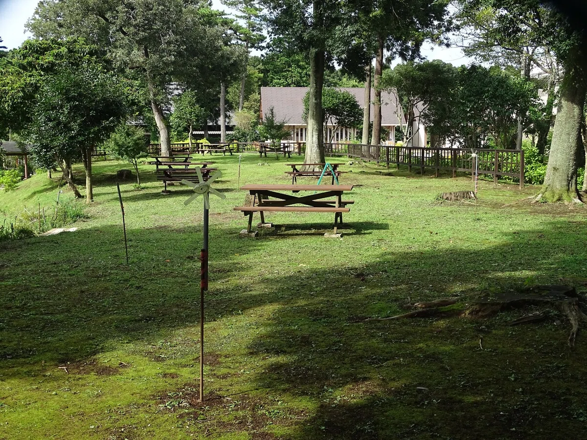 画像54