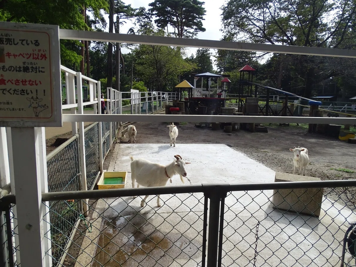 画像55