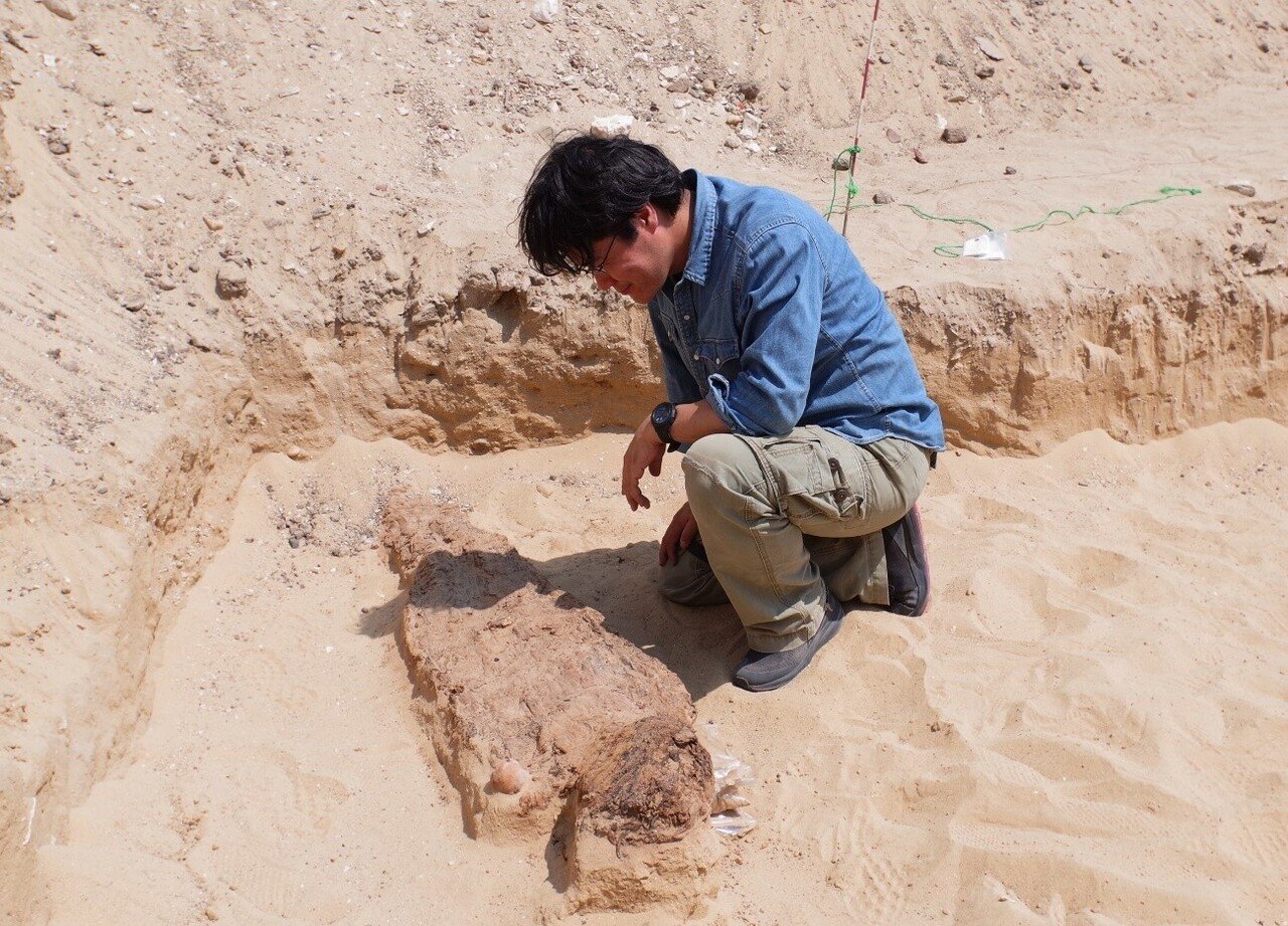 第4回 エジプトでの遺跡調査、発掘されたばかりのミイラを実見｜特別展