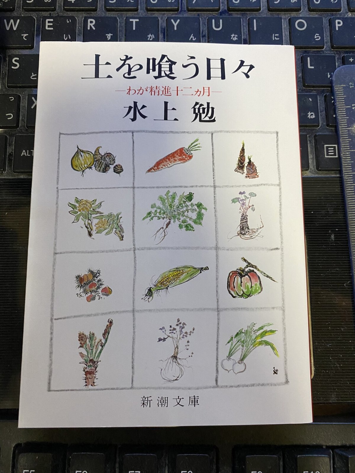 水上勉　限定300部　豆本文庫セット★特別期間限定値段 21F6v1TjJqL._UF350,350_QL50_.jpg