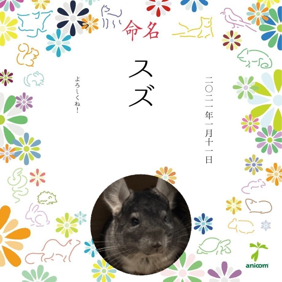 Vtuberチンチラを飼う 槻守せれん Note Vtuberチンチラを飼う 槻守せれん Note