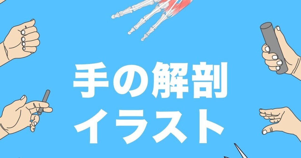 手の解剖 イラスト こまつようすけ 脳卒中の方とセラピストと一緒に成長する理学療法士 愛知 Note