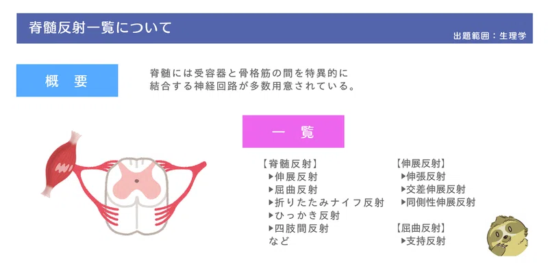 生理学 図解イラストとゴロで簡単 脊髄反射の一覧 の覚え方 森元塾 国家試験対策 Note