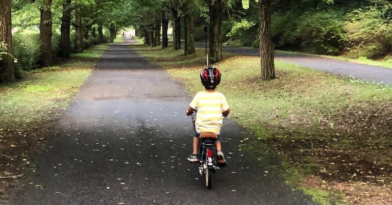 【思い出話】小学校2年生の時自転車で。。。