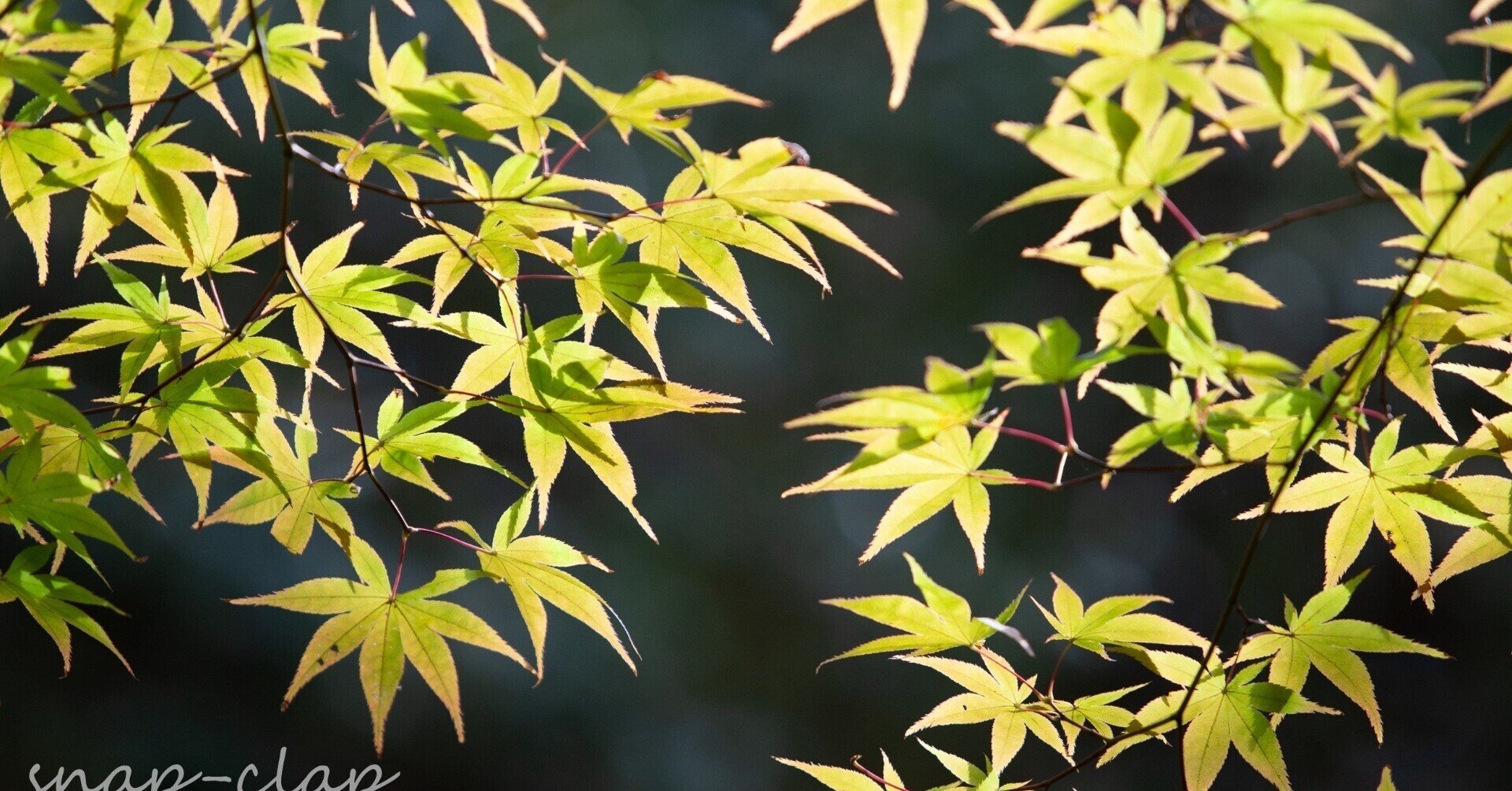 俳句のための文語文法入門1 や かな けり なごみ Noteお休み中 Note