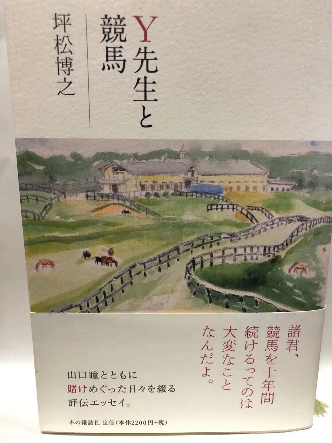 Y先生と競馬