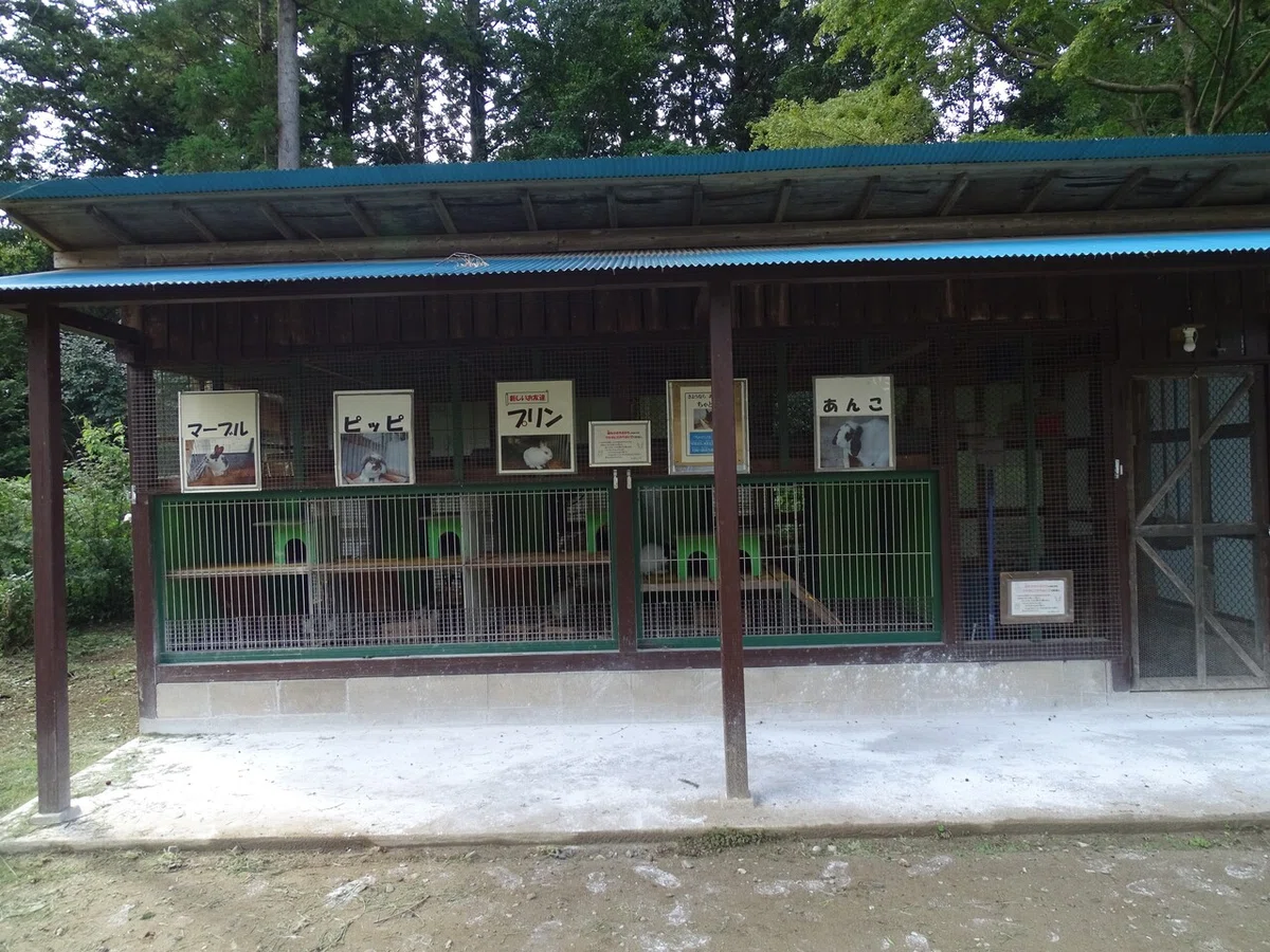 画像70