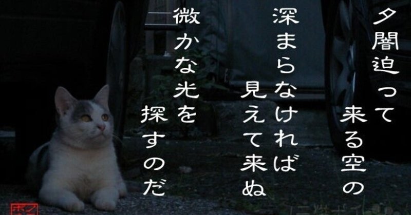 あなたのポラリスは みちた ゆるりとフリーランスソーシャルワーカーを目指してさまよい歩く Note