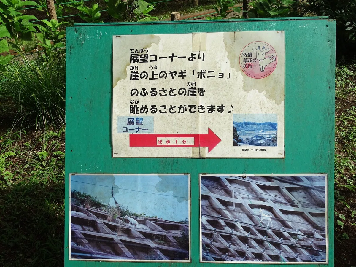 画像102