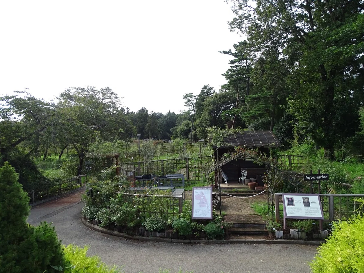 画像106
