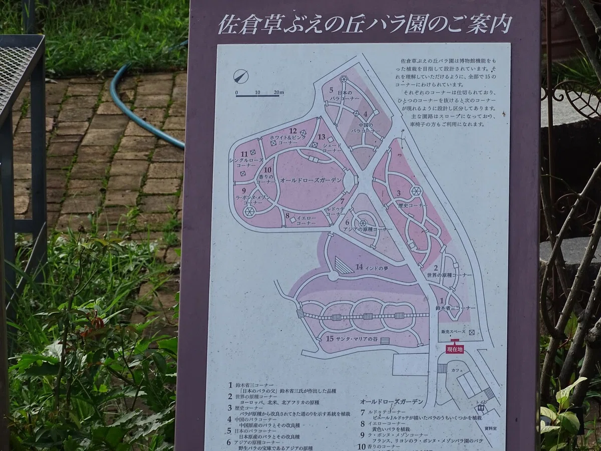 画像107
