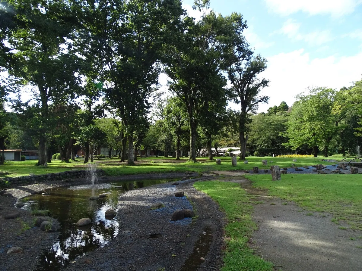 画像113