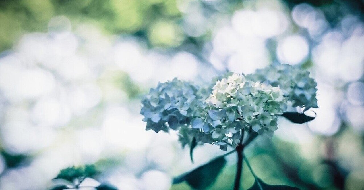 Bybit 15秒足による高頻度？取引bot｜nyanpas